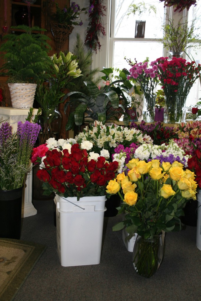 Everything’s coming up roses at Chester Flowers The Chester Telegraph